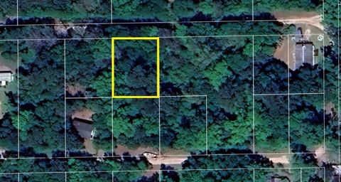 102 NE 37TH LANE SILVER SPRINGS FL 34488