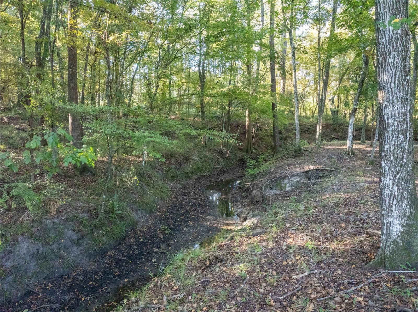 TURKEY CREEK - Residential