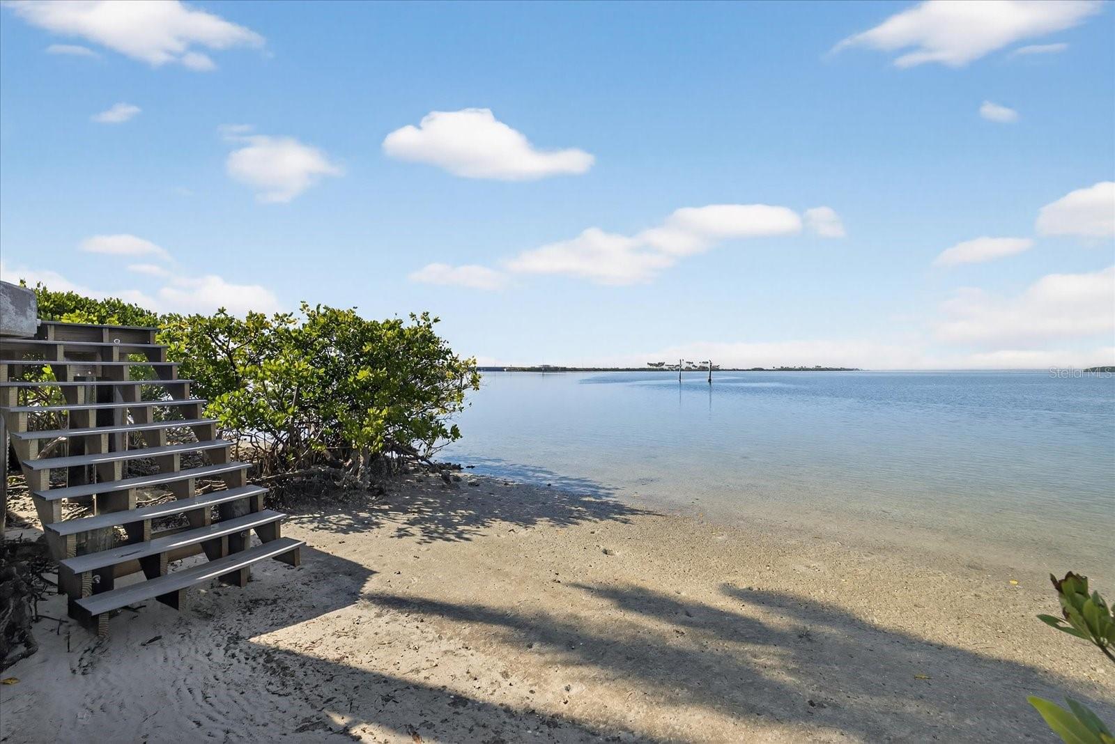 THE RESERVE OF OLD TAMPA BAY - Residential