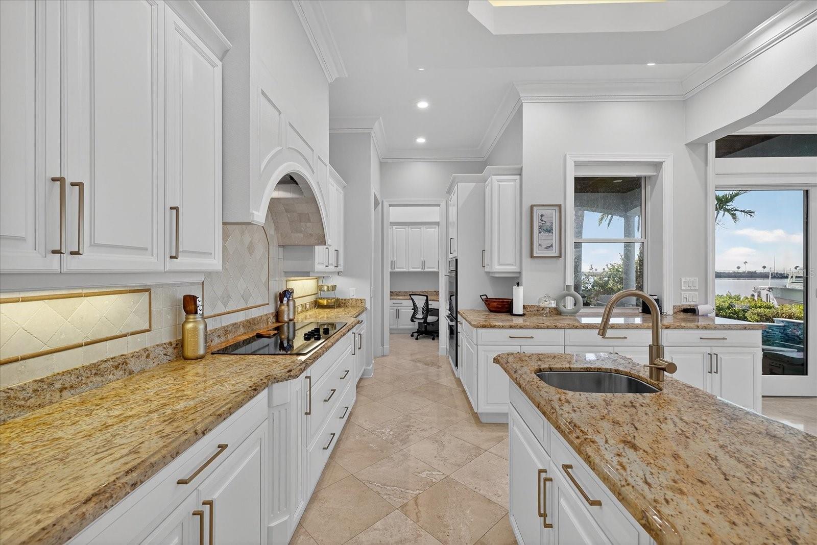 THE RESERVE OF OLD TAMPA BAY - Residential