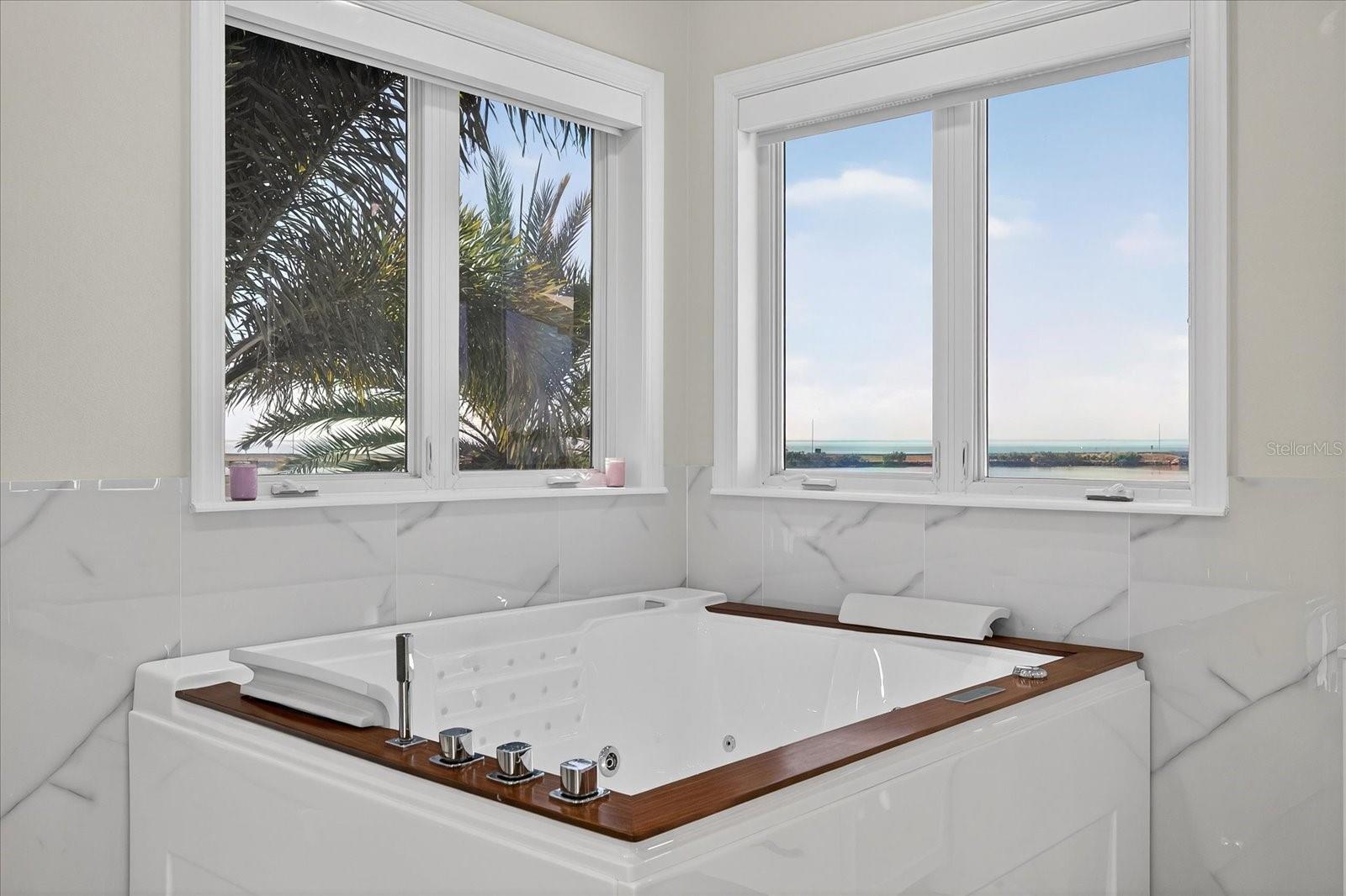 THE RESERVE OF OLD TAMPA BAY - Residential