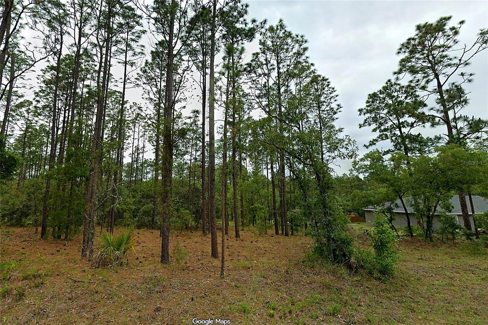 NW REDWOOD DRIVE