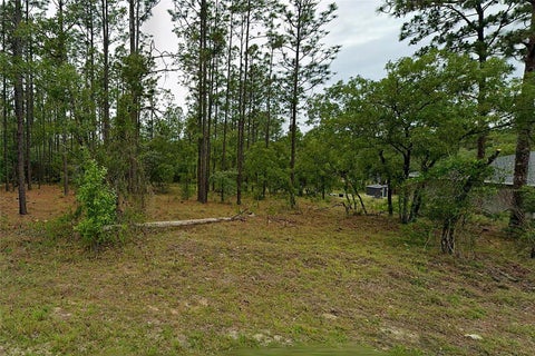 Photo of NW Redwood Drive, Dunnellon, FL 34431 (MLS # O6446219)