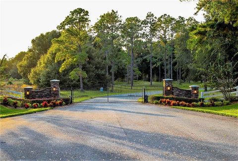 LOT 2 CLEARWATER WAY GROVELAND FL 34736