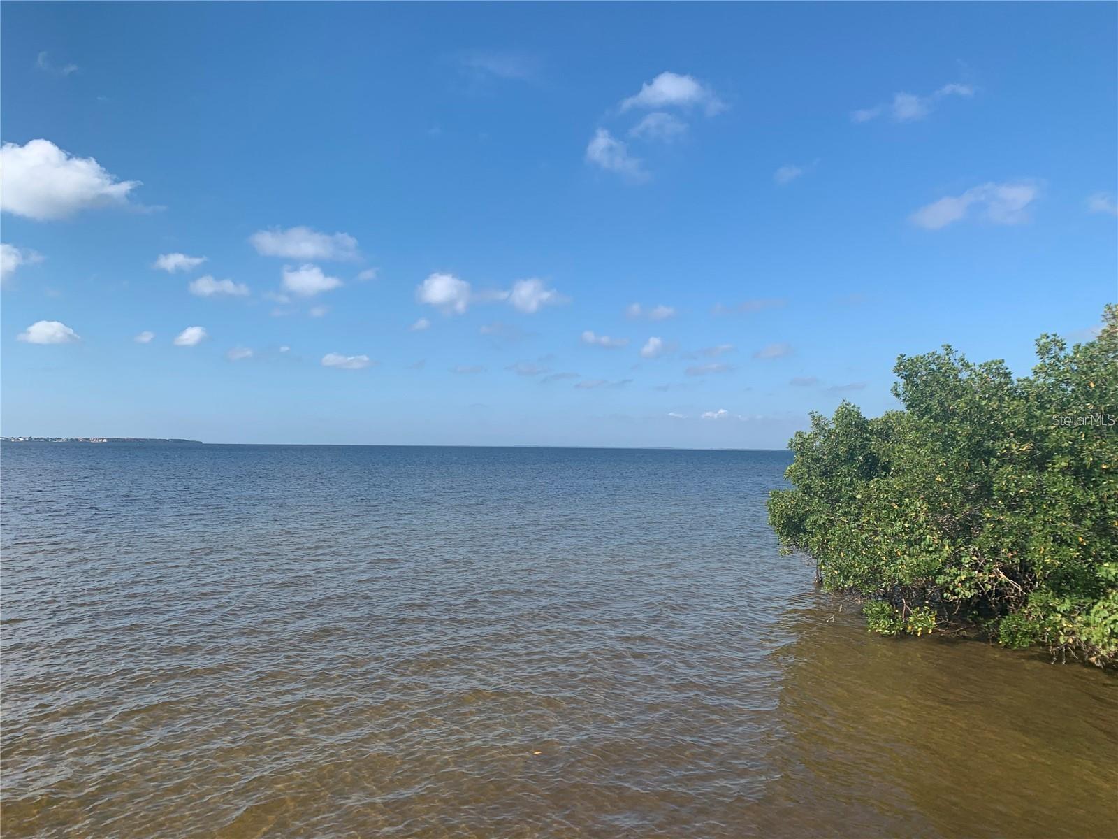 CHAR HARBOR - Residential Lease