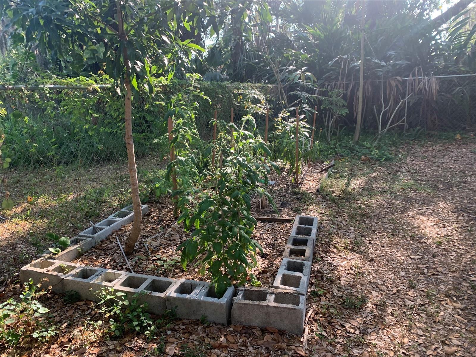 CHAR HARBOR - Residential Lease