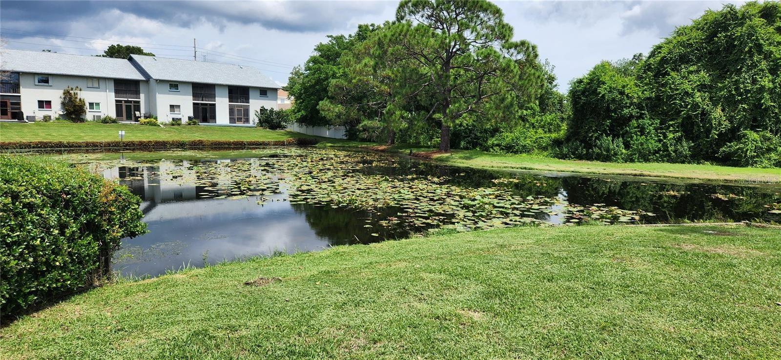 SHADOW LAKES CONDOS - Residential