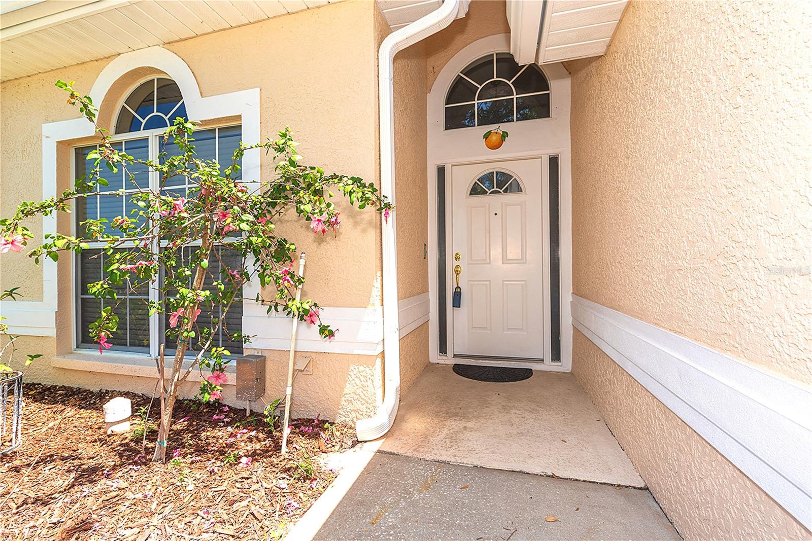 1126 HALEY LANE
