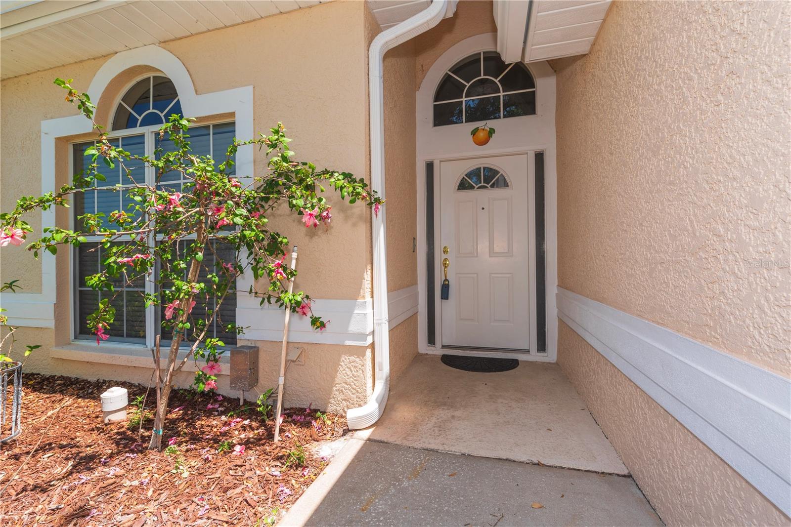 1126 HALEY LANE