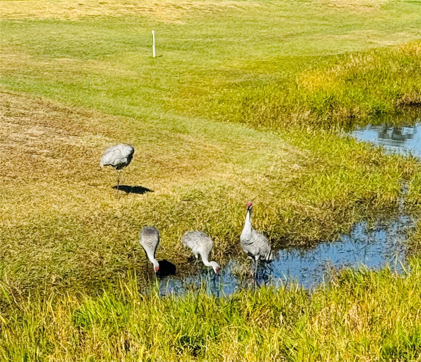 DEER CREEK GOLF & TENNIS RV RESORT PH 03-A - Land