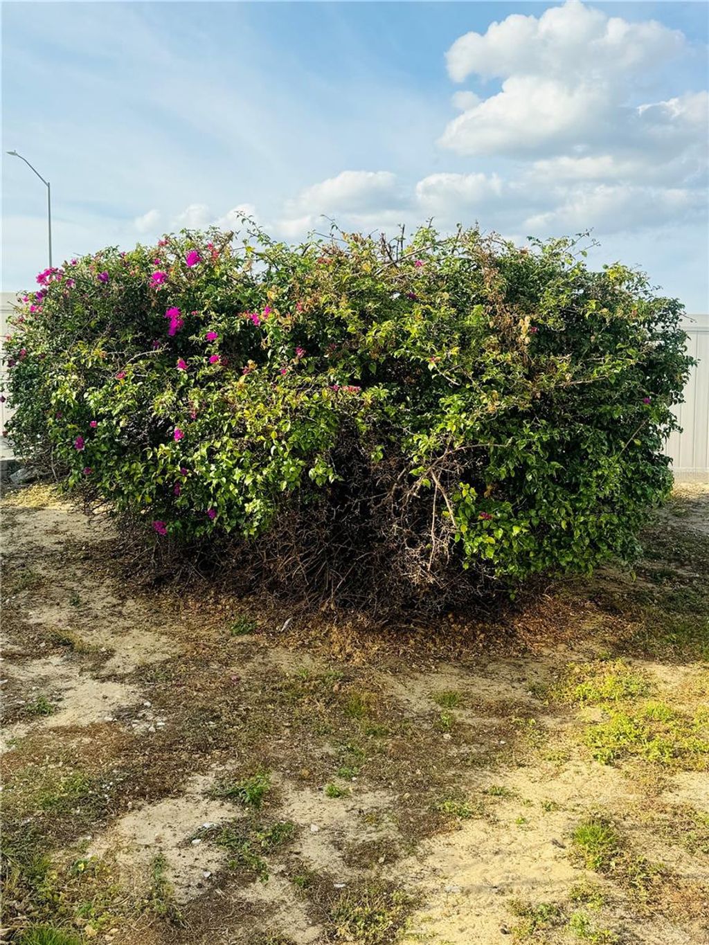 Photo of 917 St George Drive, Davenport, FL 33837 (MLS # O6371497)