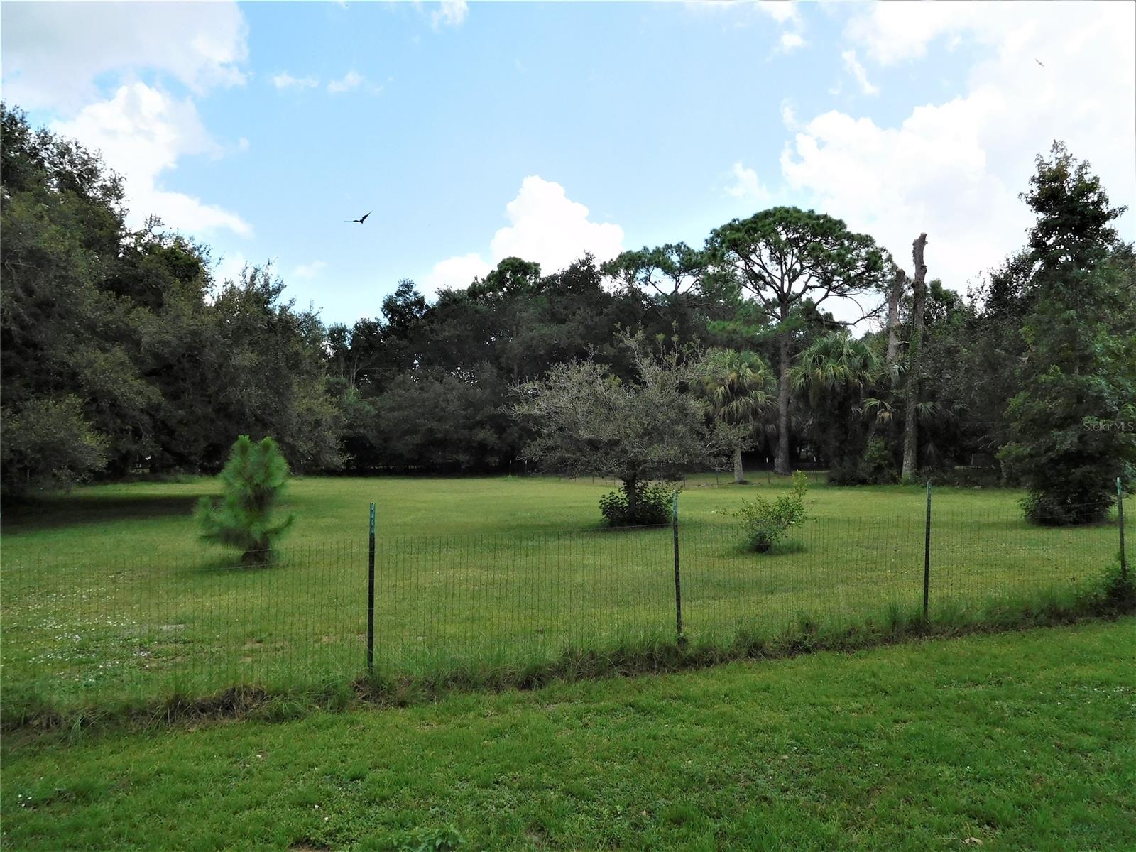 Canaveral Groves Rep Unit 03 Sheet 02 - Residential