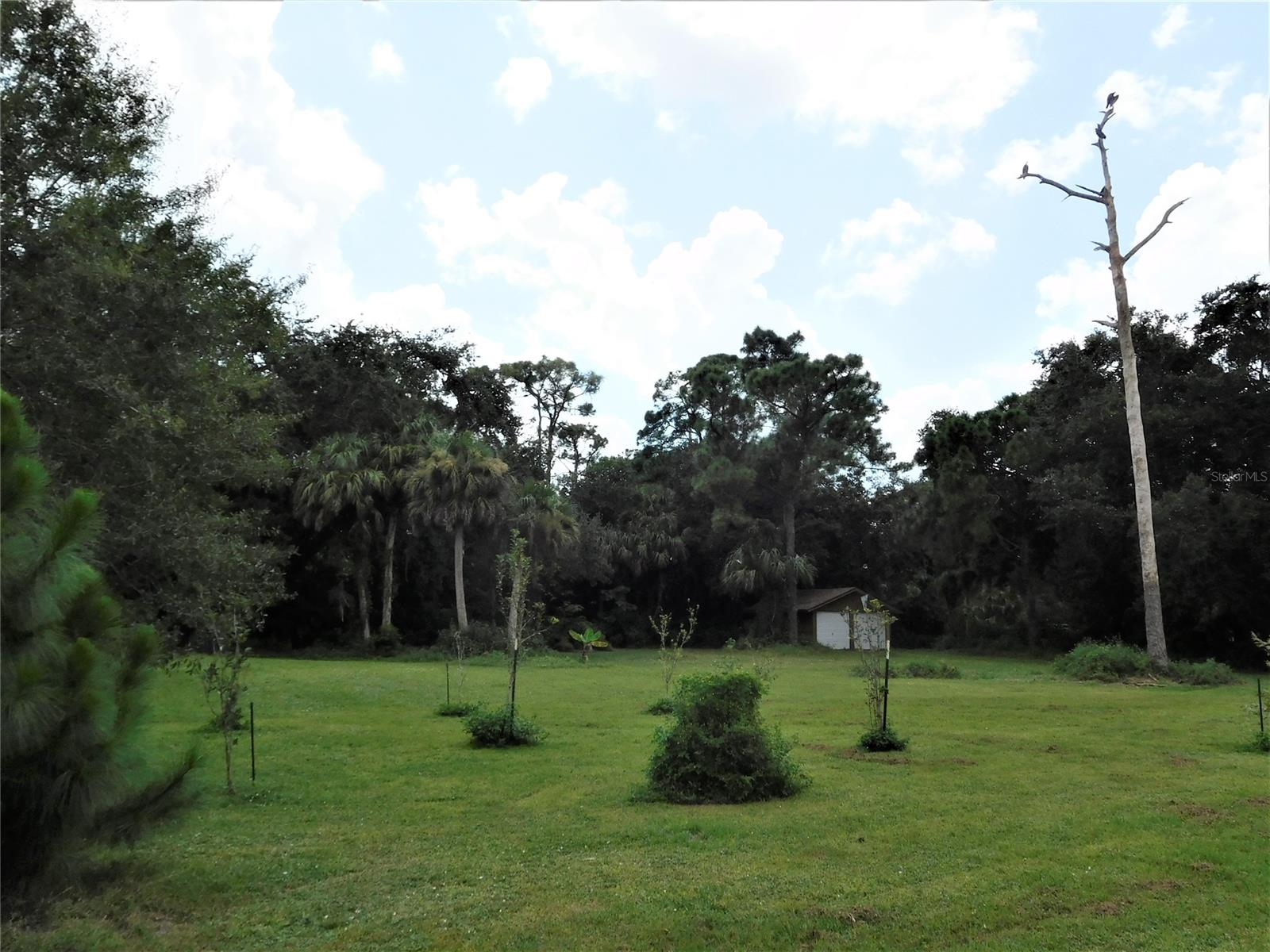 Canaveral Groves Rep Unit 03 Sheet 02 - Residential