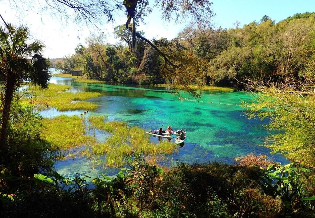 Photo of 228 St. George Drive &amp; San Mateo Boulevard, Dunnellon, FL 34432 (MLS # OM698083)