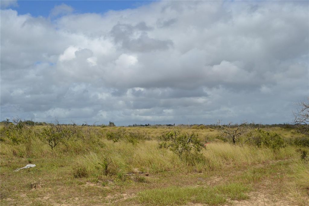 Photo of Lake Patrick Road N, Babson Park, FL 33827 (MLS # O6349997)