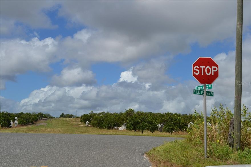17+/- acres of former citrus grove - mostly cleared and has a 6" well