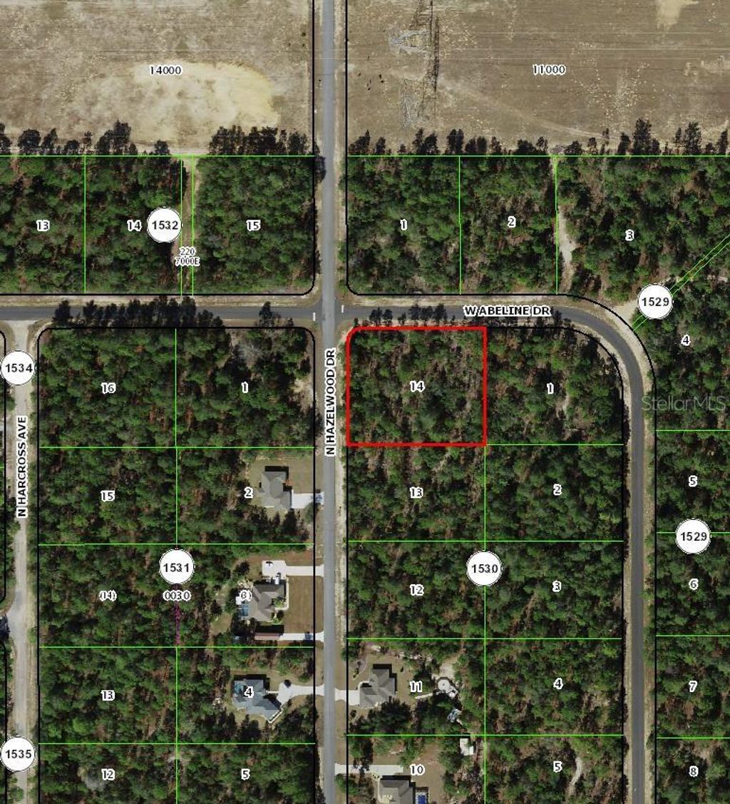 Photo of 6777 N Hazelwood Drive, Citrus Springs, FL 34433 (MLS # TB8454385)