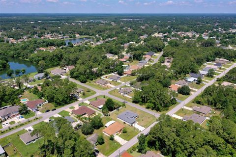 A home in PALM COAST