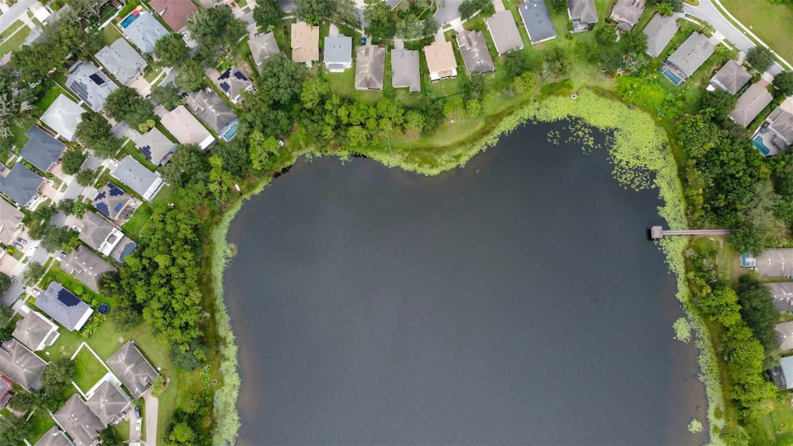 3341 LAKE JEAN DRIVE
