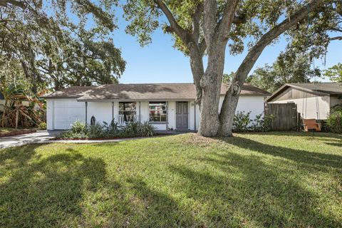 2767 DOVEWOOD STREET CLEARWATER FL 33759