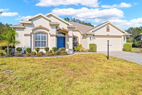 Photo of 332 Mcintosh Court, Spring Hill, FL 34609 (MLS # TB8453399)