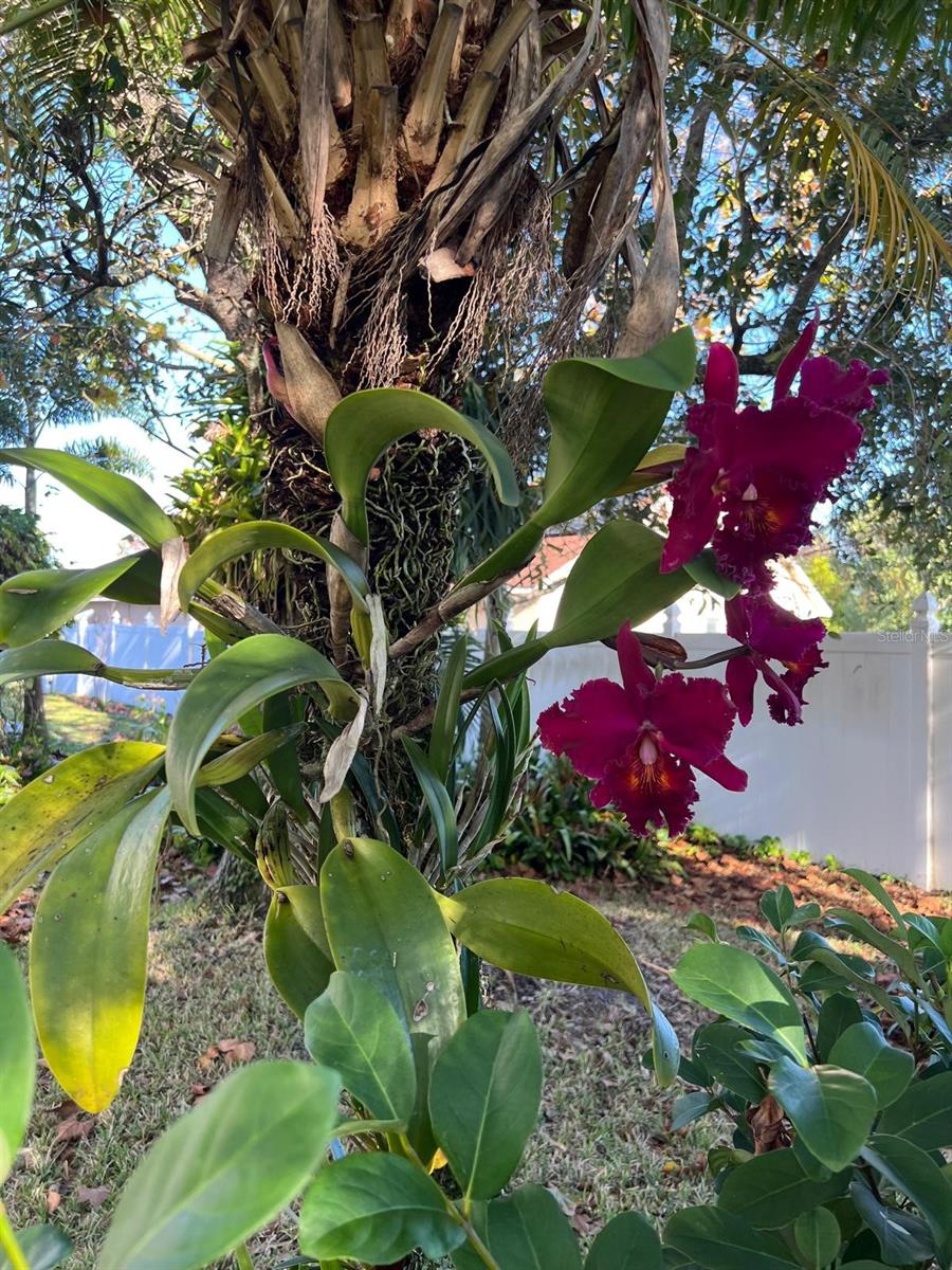 EAGLE POINTE PH 4 - Residential