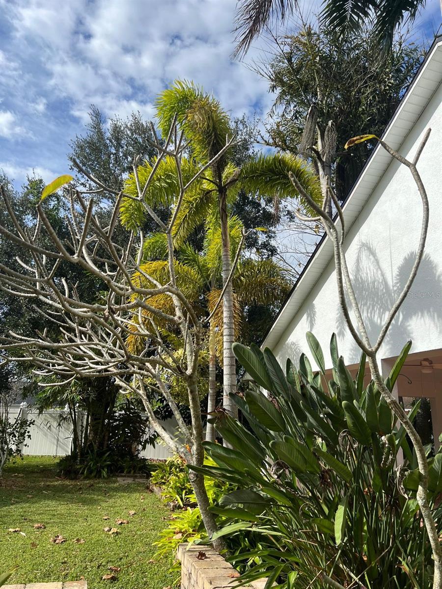 EAGLE POINTE PH 4 - Residential