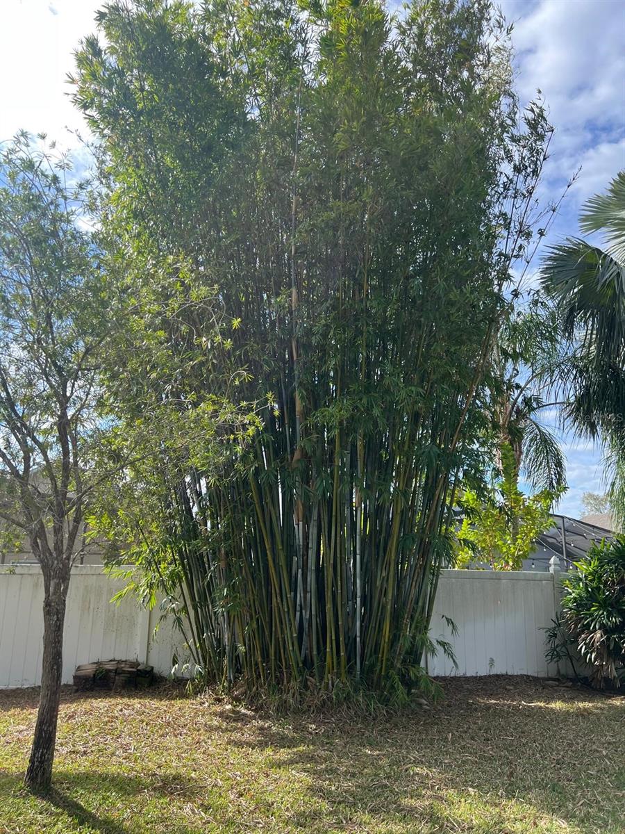 EAGLE POINTE PH 4 - Residential