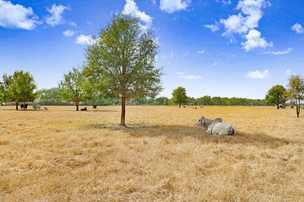 MULRENNAN ESTATES UNIT 2 - Residential