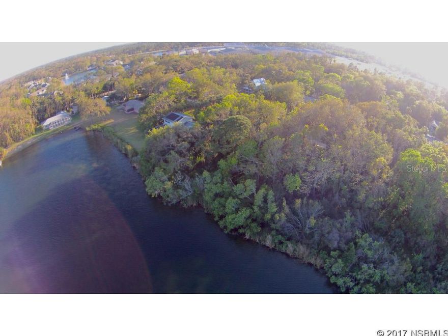 Build your dream waterfront home. With captivating views of a very large lake centrally located in beautiful New Smyrna Beach. There are 3 lots currently available, each being sold separately. Or you may offer to purchase all 3 until one sells. So do not miss this rare opportunity. All information is intended to be accurate but is not guaranteed.; Cleared: No ;Water: Available at Site