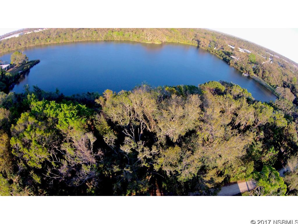 Pickett Grant New Smyrna - Land