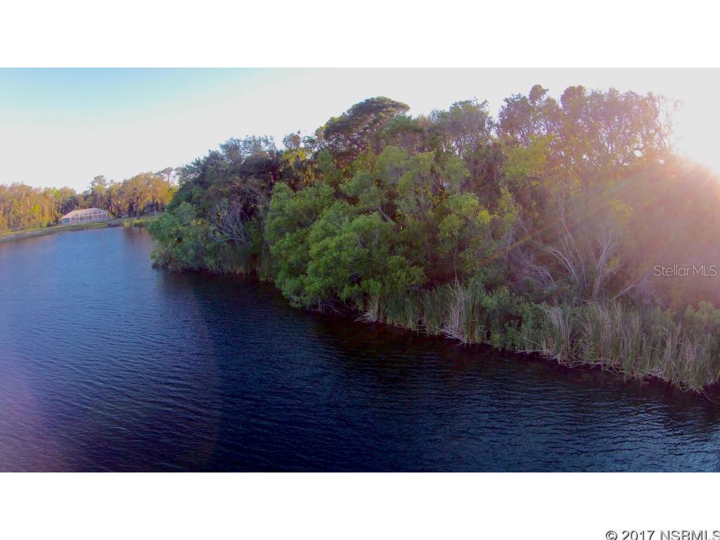 Pickett Grant New Smyrna - Land