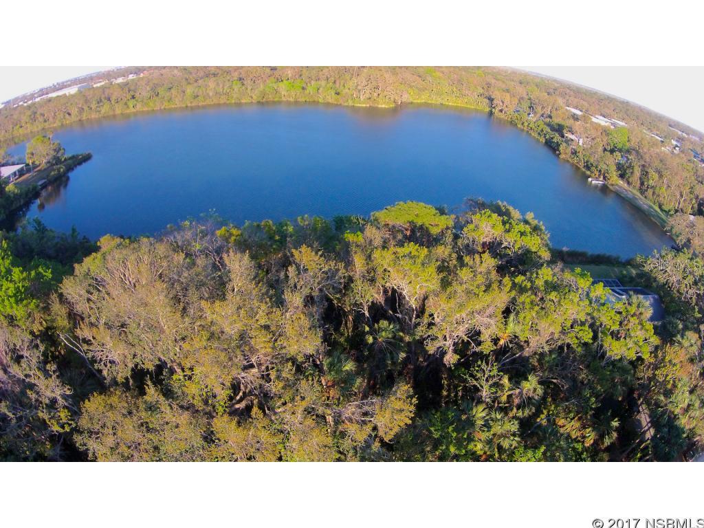 Pickett Grant New Smyrna - Land