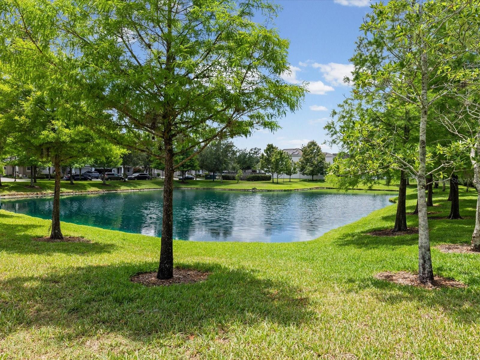 PARK BROOK OF CITRUS PARK - Residential