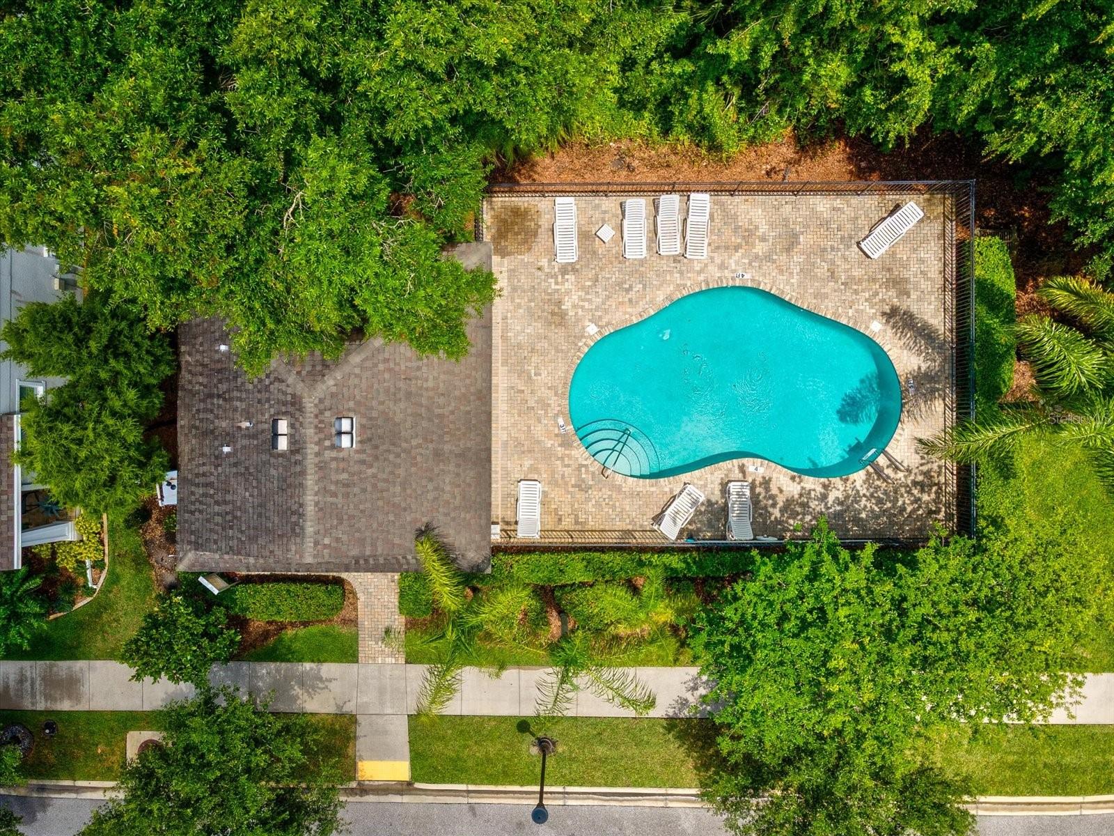 PARK BROOK OF CITRUS PARK - Residential