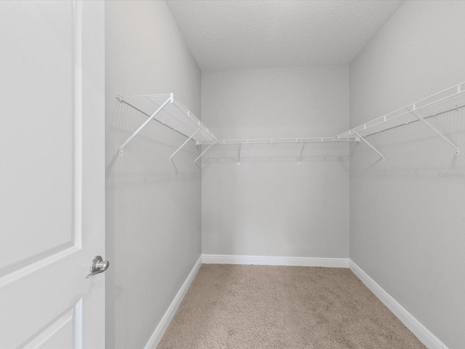 PARK BROOK OF CITRUS PARK - Residential