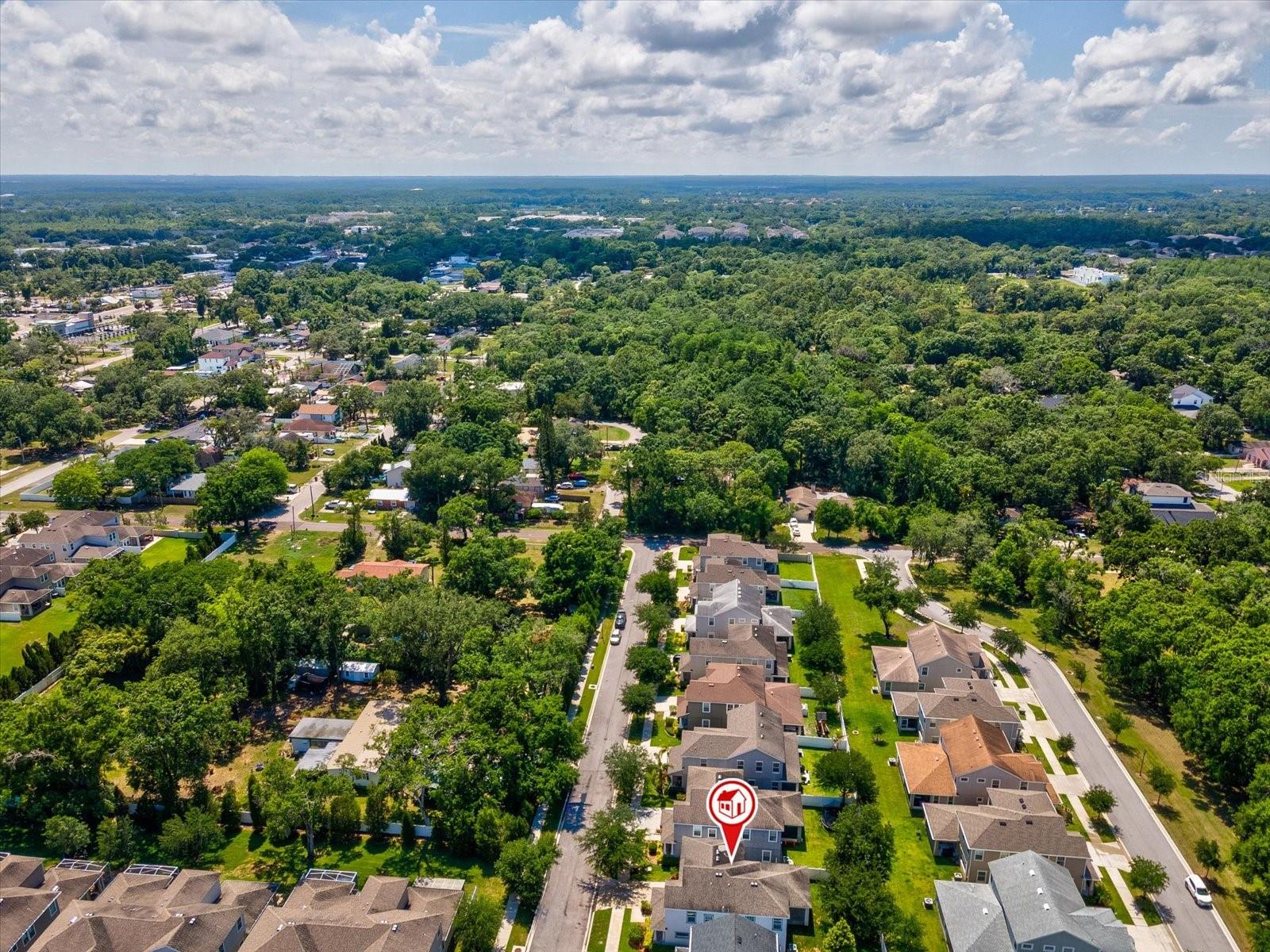 PARK BROOK OF CITRUS PARK - Residential