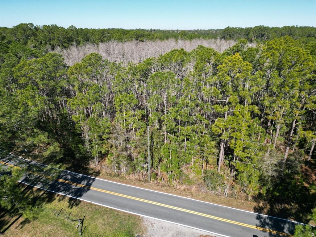 Photo of Green Pond Road, Polk City, FL 33868 (MLS # P4937549)