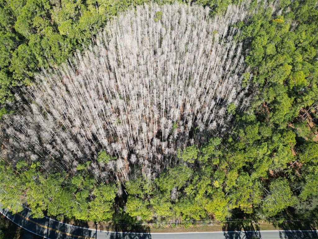 Photo of Green Pond Road, Polk City, FL 33868 (MLS # P4937549)