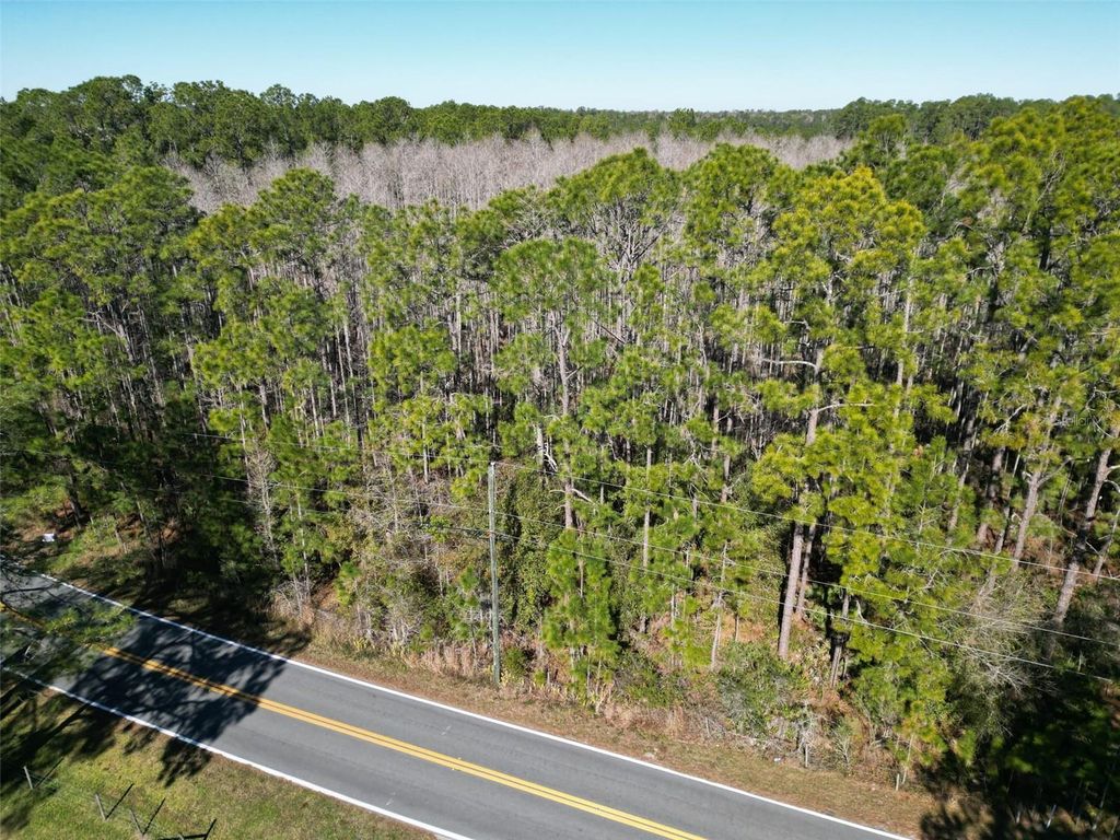 Photo of Green Pond Road, Polk City, FL 33868 (MLS # P4937549)