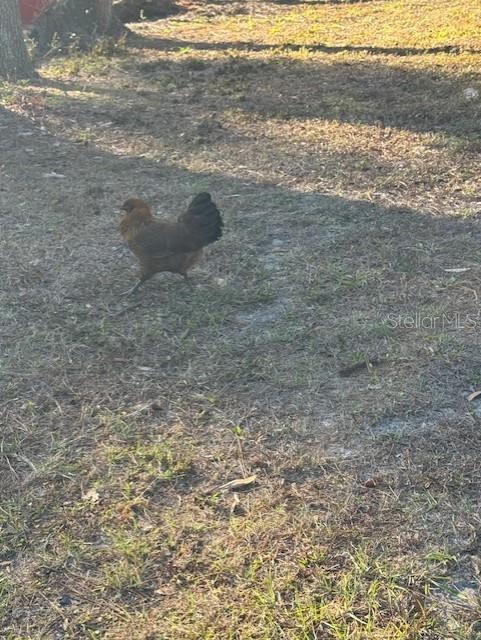 CROOM-A-COOCHEE ESTATES - Residential