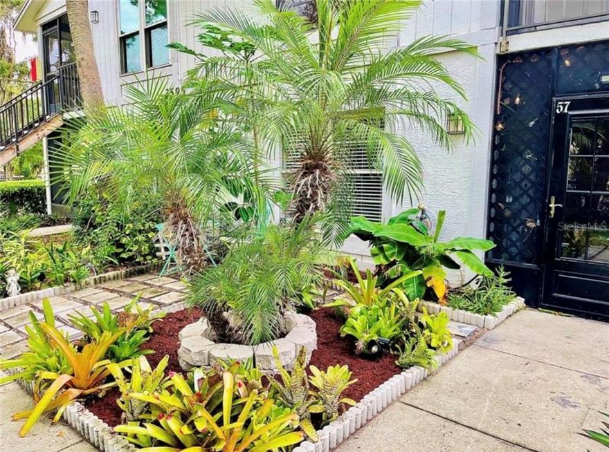 Very pleased to present a beautiful move in ready 3 bedroom, 2 bathroom First Floor Condo. Located in the heart of Palm Harbor. This spacious condo is a true gem and a must-see for those looking for a turnkey property. The unit features numerous recent upgrades, including updated flooring and fixtures throughout, a new AC unit installed in 2022, new water heater 2020 and new Roof installed 2025. The interior has been freshly painted and includes an electric fireplace. The property is situated in an excellent school district and is closed by to Pinellas Trail and local parks, making it an ideal location for families and pet owners alike. All offers will be considered, investors welcome.