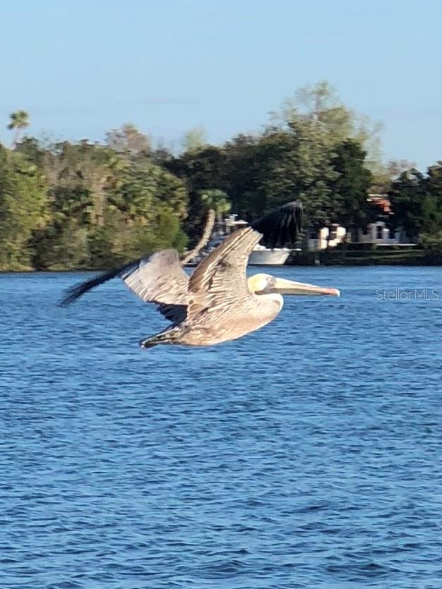 PELICAN COVE UNREC CONDO - Residential