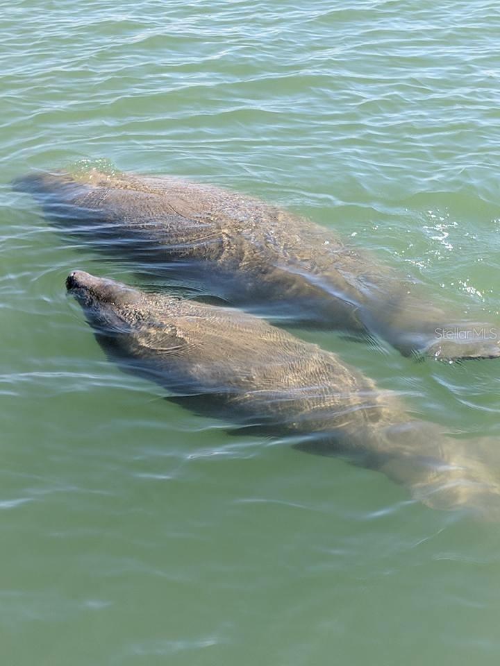 PELICAN COVE UNREC CONDO - Residential
