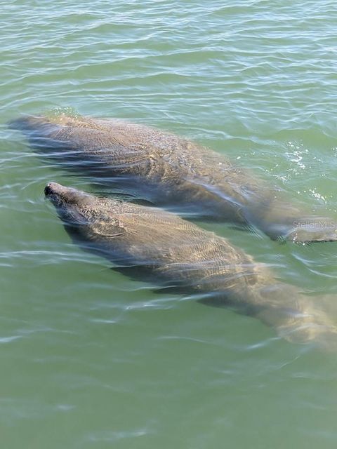 Tiny photo for 11006 W Cove Harbor Drive #16, Crystal River, FL 34428 (MLS # TB8459098)