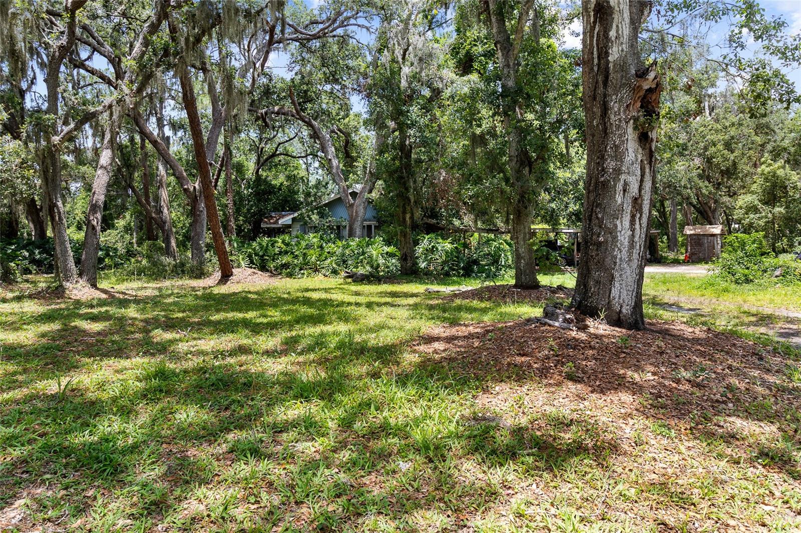 If your looking for 1.2 acres with easy access to amenities that has NO HOA or CDD restrictions this is it. This property has a well and septic tank. The mobile home on the property is AS IS with no warranties. The property value is in the land zoned as AS-1 Agricultural, Single-Family. There is currently a Lithia Pinecrest Road Widening project to study improvements to Lithia Pinecrest Road from Fishhawk Blvd to Lumsden Road that is in planning phase. Don't miss this opportunity to own this versatile piece of Valrico real estate!