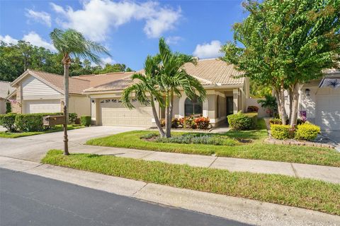 A home in PALM HARBOR