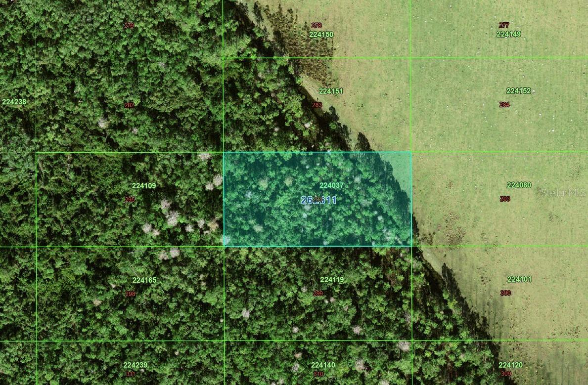 WAVERLY GROWERS DEV - Land