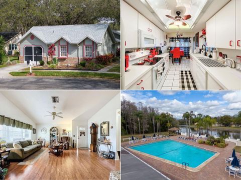 4912 ENFIELD COURT NEW PORT RICHEY FL 34655