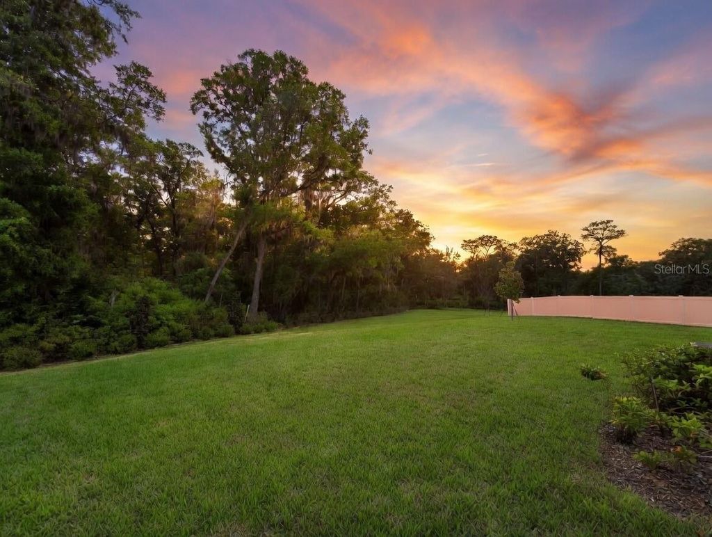 Photo of 4183 SW 82nd Lane, Ocala, FL 34476 (MLS # TB8494092)